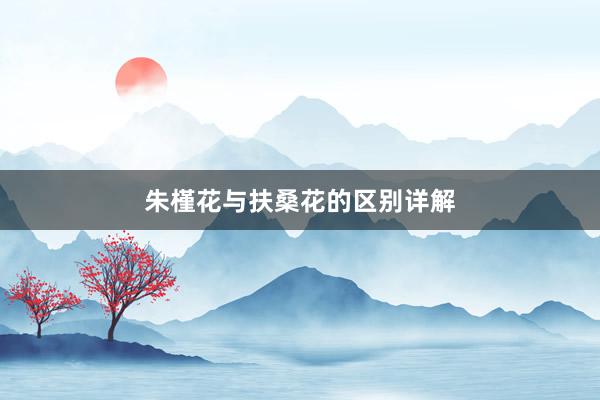 朱槿花与扶桑花的区别详解