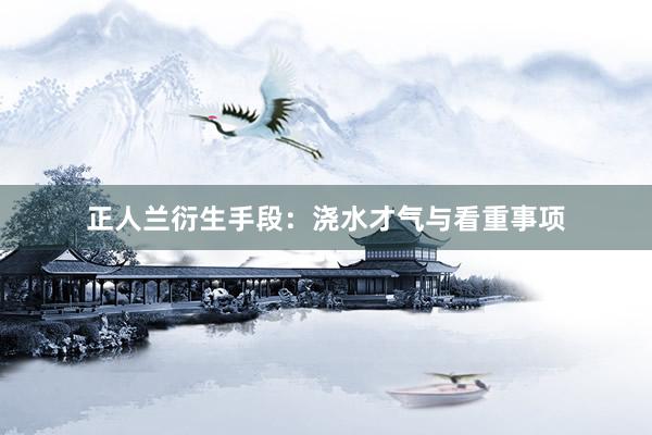 正人兰衍生手段:浇水才气与看重事项